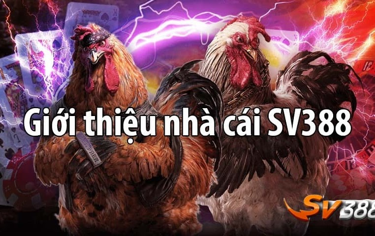 Giới thiệu về nhà cái SV388